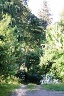 Batumi Green Cape Guest House - Makhinjauri - 3