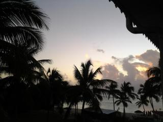 Cocotiers et pieds dans l'eau - 9