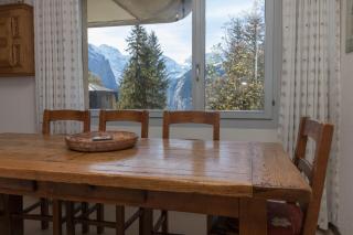 Apartment Belvedere - Wengen - 7
