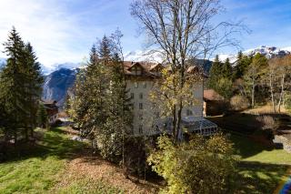 Apartment Belvedere - Wengen - 5