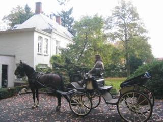 B&B 't Wit Huys Brugge - Brujas - 2