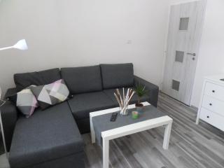 Apartmány Trutnov Promenáda - Trutnov - 8