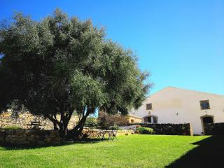 Casette Marianeddi -Agriturismo Marianeddi - Noto - 5