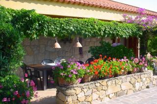 Villa Fiore - San Pantaleo - 8