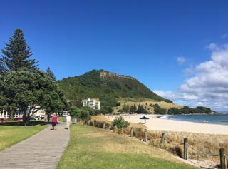 Victoria Road B&B - Mount Maunganui - 5