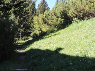 Canossa (716 Be) - Valbella - 2