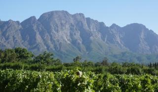 5 Pierre Jourdan - Franschhoek - 8