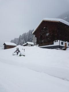 Pension Fürhapter mit Bio- Bauernhof - 5