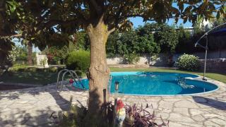 Leisure House Jovovic - Bar - 2