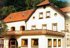 Gasthof Hotel Schwarzes Roß - Bad Berneck im Fichtelgebirge - 8
