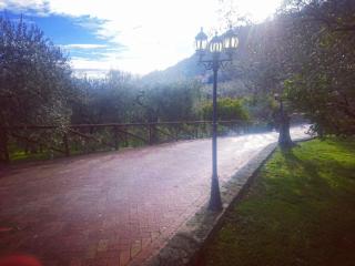 La Ginestra - Castel San Lorenzo - 4