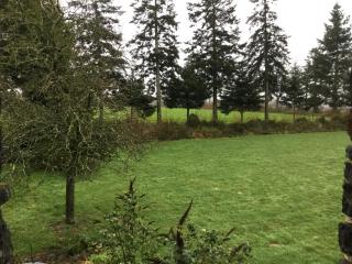 The Magnolias B&B - 8