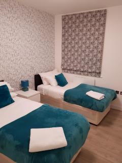 Vetrelax Chelmsford City Apartment - 5