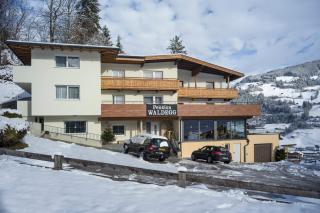 Pension Waldegg - Hippach - 3