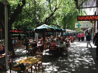 Peatonal Colonial - Mendoza - 6