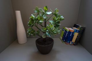 Merchants Street Valletta Apartment - 2