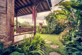 Dragonfly Village - Ubud - 1