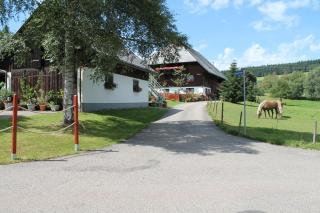 Ferienwohnung Schwarzwaldhof - Titisee-Neustadt - 7