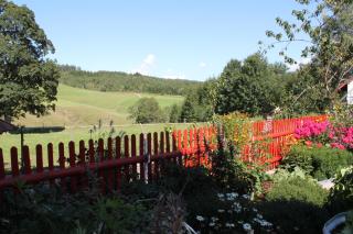 Ferienwohnung Schwarzwaldhof - Titisee-Neustadt - 2