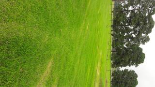 Hoyohoyo Machadostud Lodge - 3