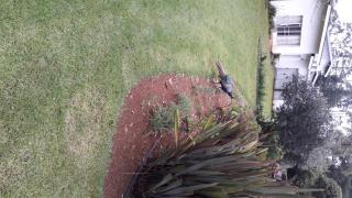 Hoyohoyo Machadostud Lodge - 5