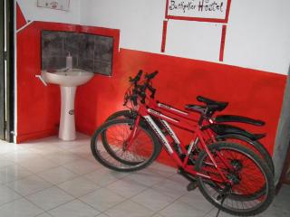 Rural Jungle Backpackers Hostel - 6