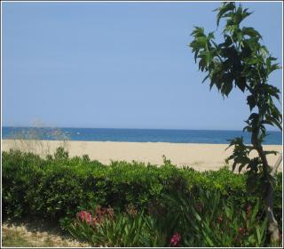 Locations Meublées Plage des Pins - Argelès-sur-Mer - 2