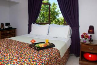 Mynt Retreat Bed & Breakfast - Montego Bay - 7