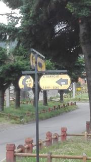 Ape - 8