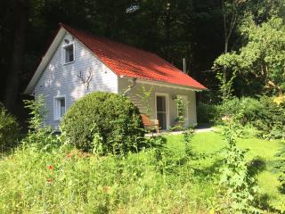 "das Waldhaus" - Bad Lauterberg - 0