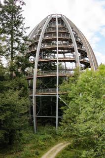Landhotel-Gasthof-Schreiner - Hohenau - 9