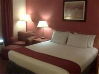 Holiday Inn Express Williamston by IHG - Williamston - 3