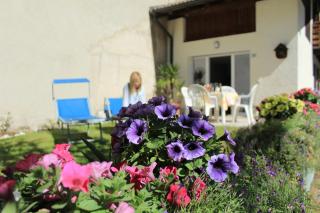 Residence Zecchini - Ledro - 1