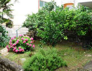 Apartments Maslina - Sveti Stefan - 2