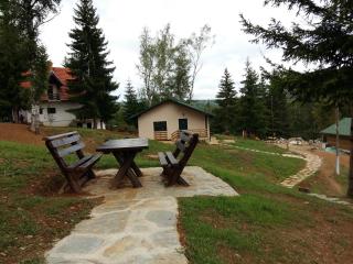 Apartment Vucja Dolina - Vlasina Rid - 0
