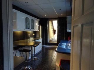 St Georges sea view - Sunderland - 8