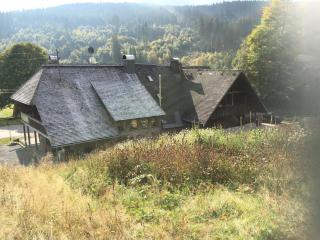 Romantisches Schwarzwaldhaus - 1