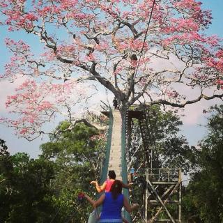 Paradise Amazon Tambopata Ecolodge - 0