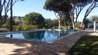 Vieira apartment 1 - Quarteira - 5
