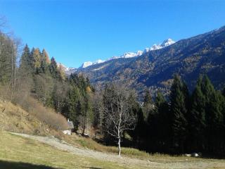 Chalet Immerso nel Verde - Strembo - 2