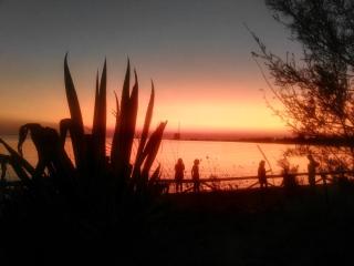 Seebay Apartment - Porto Cesareo - 6