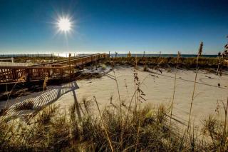 Tropical Winds Unit 301 Condo - Gulf Shores - 8