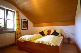Ferienhaus und Ferienwohnungen Holzapfel Geiersthal - Geiersthal - 5