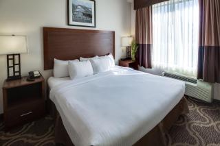 Ashmore Inn and Suites Lubbock - Lubbock - 5