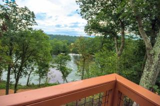 Tree Top cabin on the Shenandoah River - 5