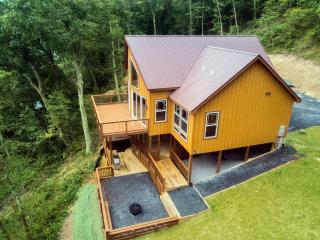 Tree Top cabin on the Shenandoah River - Luray - 7