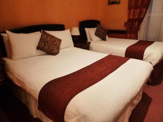 Russell Court Hotel - Dublino - 1