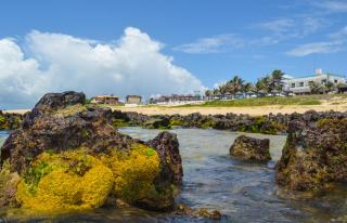 Praia das Tartarugas - Barra de Tabatinga - 2