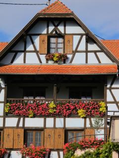 Hotel Restaurant Faller Emmebuckel - Itterswiller - 4
