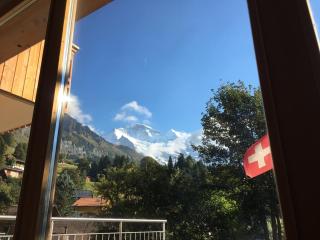 Chalet Fortuna 2 - Wengen - 9